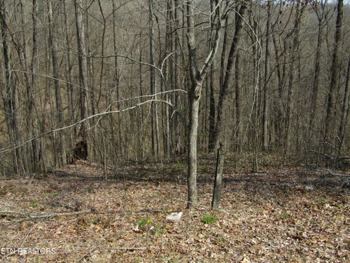 Lot 28 Hunters S Landing Lane, Smithville, TN, 37166 | Card Image