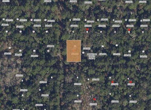 Tbd Mandarin Ave, Georgetown, FL, 32139 | Card Image