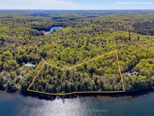 0 Old Sinclair Road, Lake of Bays, ON, P1H2J6 | Card Image