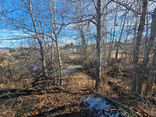 198 Mullan Trl, Gold Creek, MT, 59733-9751 | Card Image