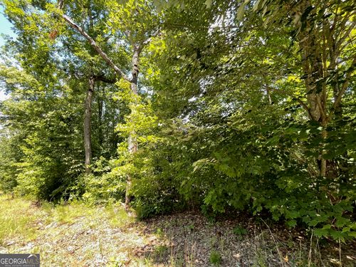 LOT 37 Fodder Creek Mill Drive, Hiawassee, GA, 30546 | Card Image