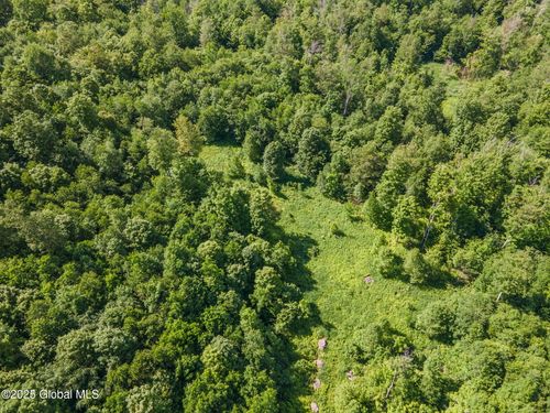 L4 Havrish Rd, Stamford, NY, 12167 | Card Image