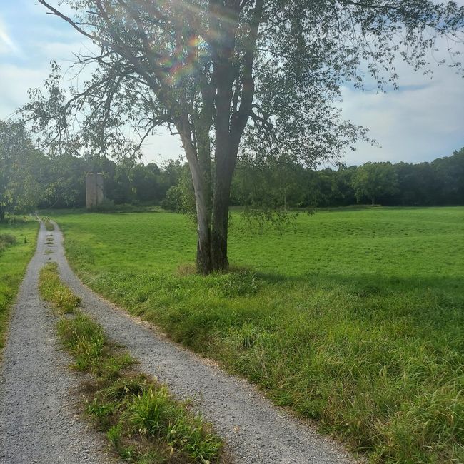 405 Buck Rd, Home with 2 bedrooms, 2 bathrooms and null parking in Coldwater MI | Image 6