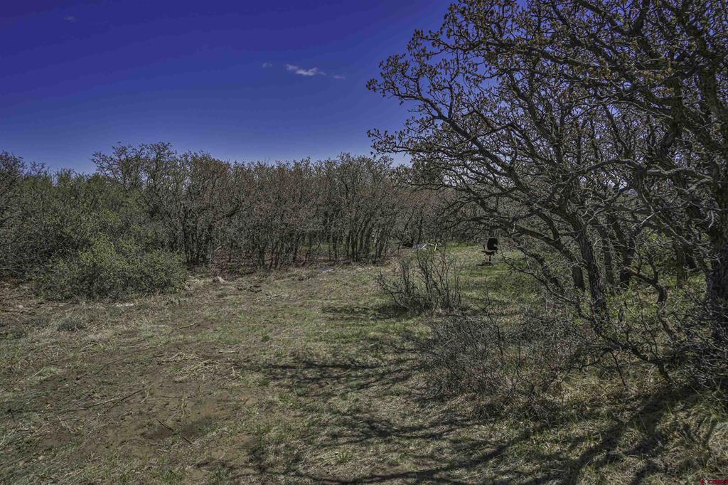 Land in Walsenburg 4