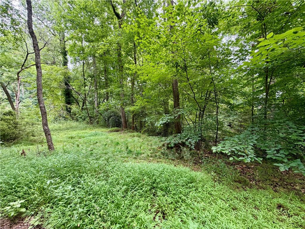 Land in Ellenwood 2