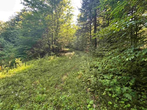 0 Rose Lane, Londonderry, VT, 05148 | Card Image