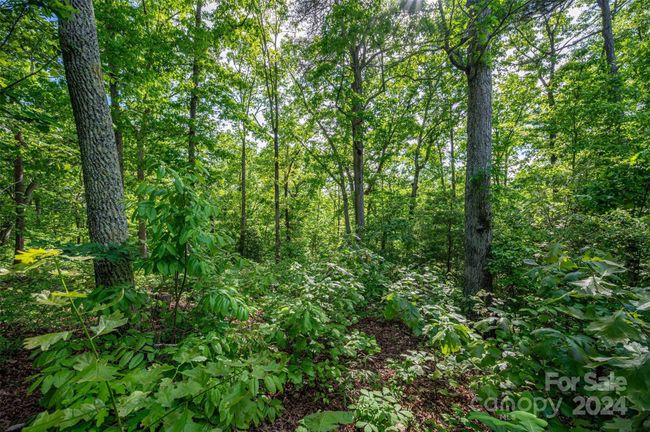 0 Walkaloosa Way, Home with 0 bedrooms, 0 bathrooms and null parking in Mooresboro NC | Image 24