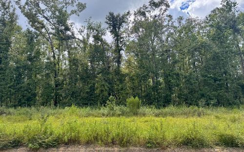 LOT40 Nw Blue Oak Ln, JENNINGS, FL, 32053 | Card Image