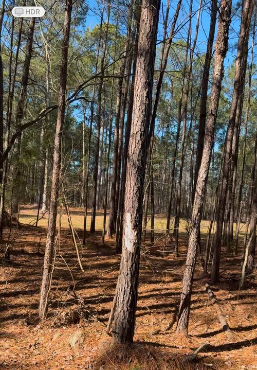 450 River Bluff Trl, Saint Stephen, SC, 29479-4162 | Card Image