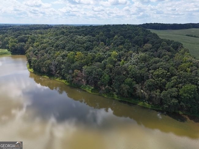 TRACT-9 - 0 Sanford Dr, Home with 0 bedrooms, 0 bathrooms and null parking in Nicholson GA | Image 12