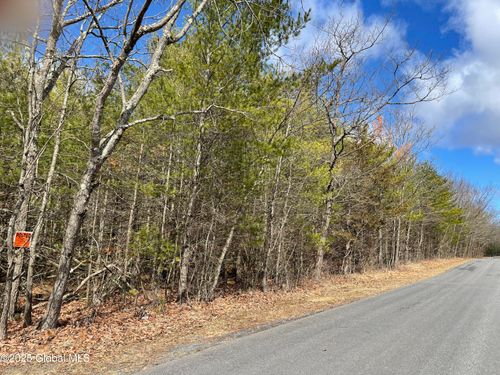 L18.12 Old Kings Rd, Hannacroix, NY, 12087-3301 | Card Image