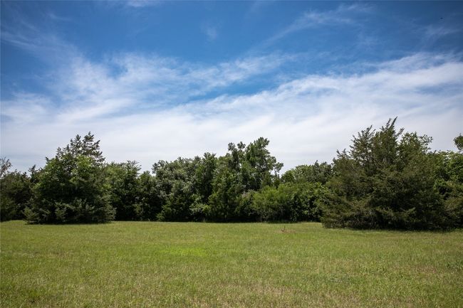 View of yard with a view of trees | Image 5