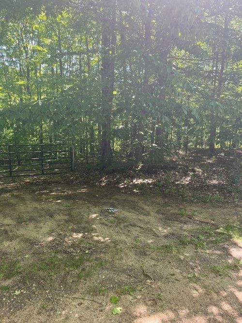 Parcel B N 45 Road, Cedar Creek Township, MI, 49663 | Card Image