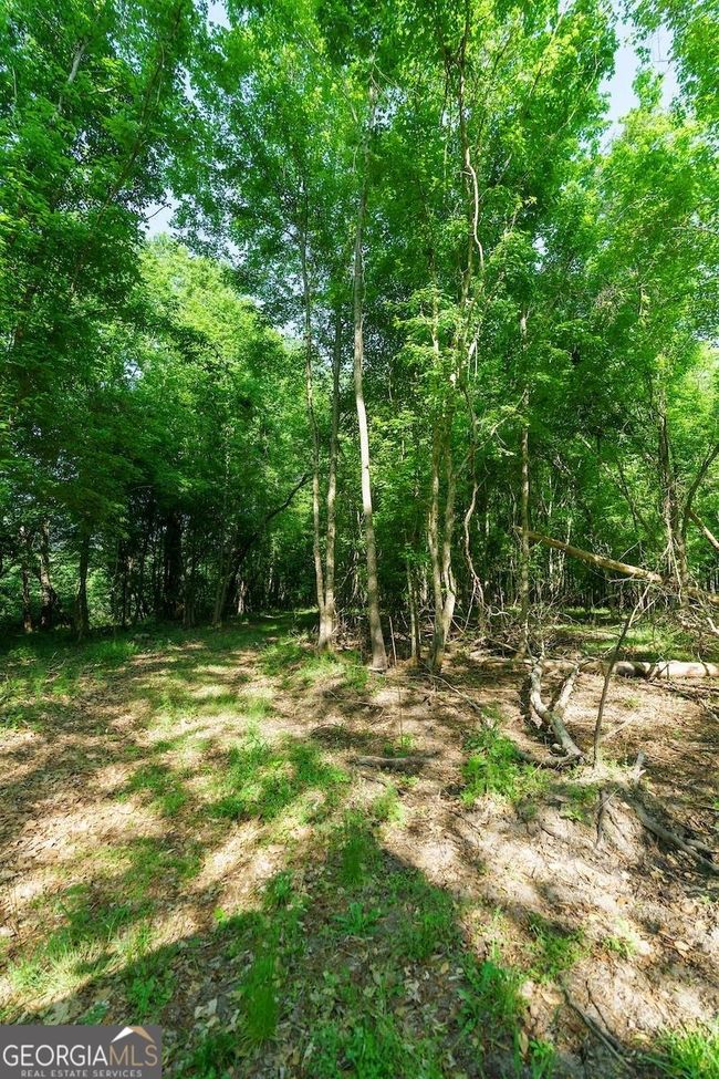 6053 Sun Hill Grange Rd, Home with 0 bedrooms, 0 bathrooms and null parking in Davisboro GA | Image 24