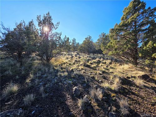 25 Quail Rd, Weed, CA, 96094 | Card Image