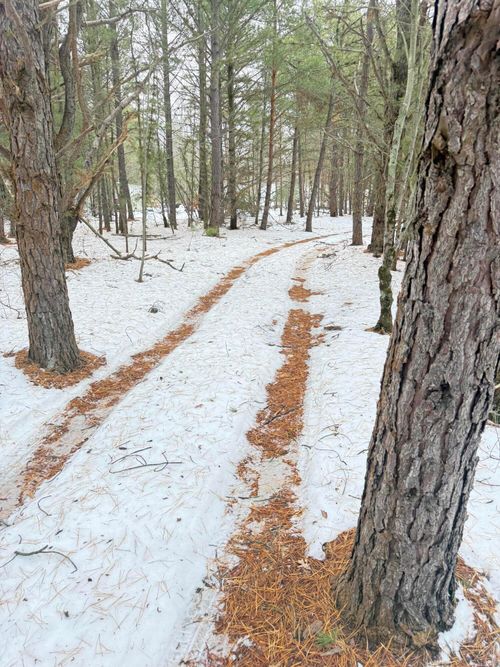 1302 W Tyler Rd, Muskegon, MI, 49445-8317 | Card Image