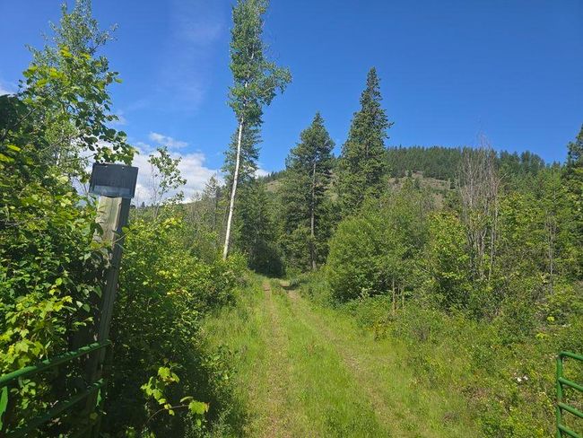 3715 Hill Loop Rd, Home with 0 bedrooms, 0 bathrooms and null parking in Kettle Falls WA | Image 9