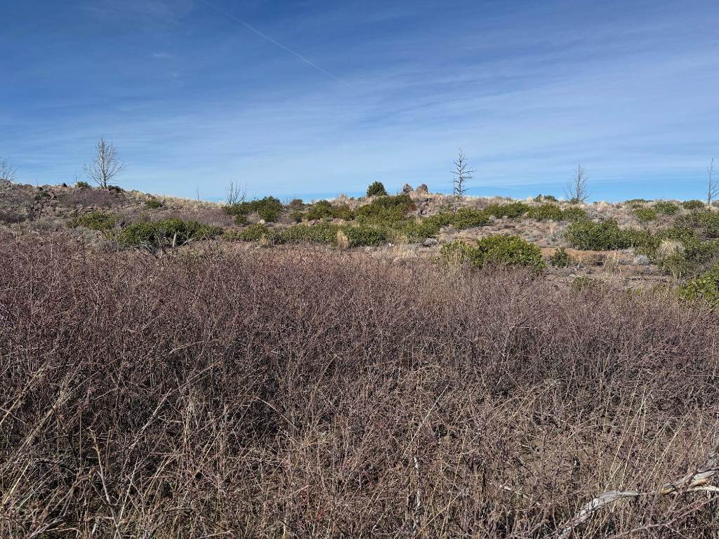 Land in Weed 4