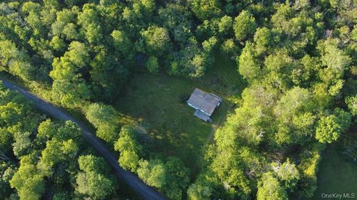 52 Log Rd, Parksville, NY, 12768-5318 | Card Image