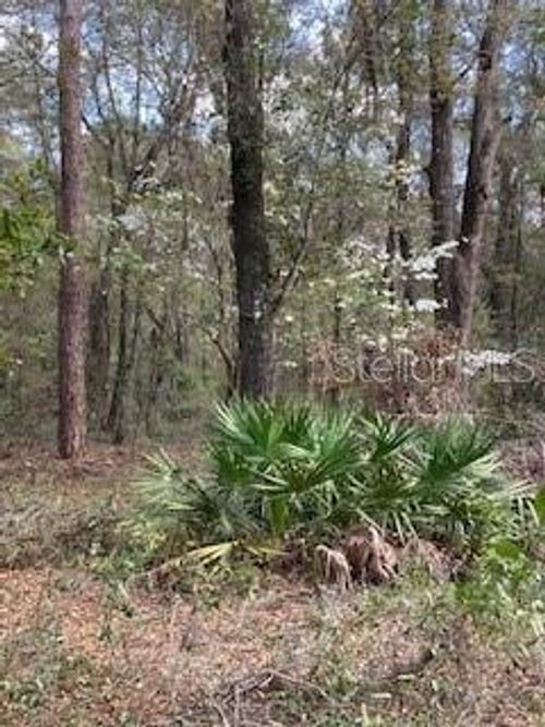 18507 Sw 67th Ave, ARCHER, FL, 32618-2719 | Card Image