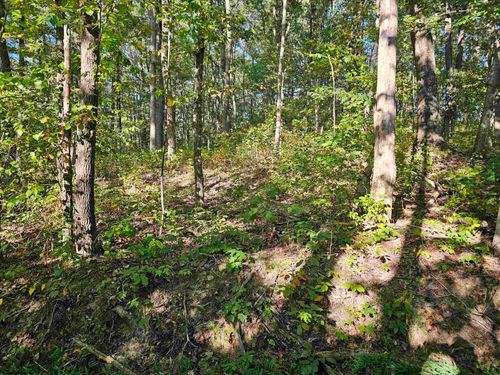 TBD Cr 66/1 Road, Charleston, WV, 25306 | Card Image