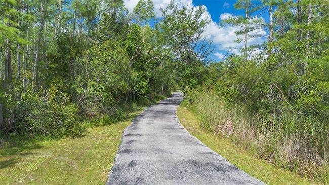11933 Pasco Trails Blvd, House other with 4 bedrooms, 3 bathrooms and null parking in SPRING HILL FL | Image 44