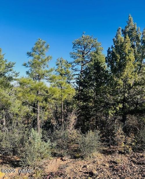 1610 W Snow Creek Trl, Show Low, AZ, 85901-3473 | Card Image