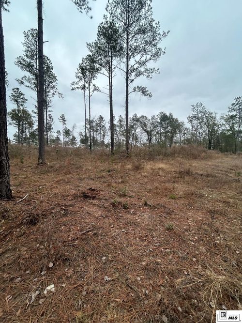0 Cadeville Cutoff Rd, West Monroe, LA, 71292 | Card Image