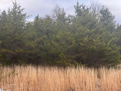 2214 E 56th St, Chase, MI, 49623-8616 | Card Image