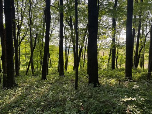 0 King Rd, Howard, OH, 43028 | Card Image