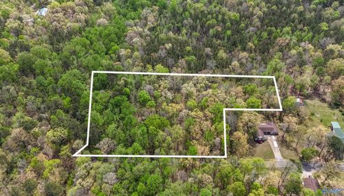 3.3 Acres Willow Street, Hamilton, AL, 35570 | Card Image