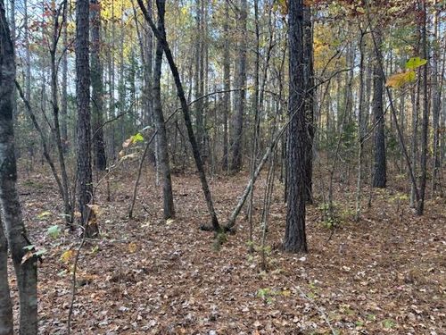 0 Brown Creek Rd, Shiloh, GA, 31826 | Card Image