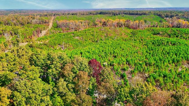 4 Ferrell Rd, Home with 0 bedrooms, 0 bathrooms and null parking in Middleton TN | Image 6