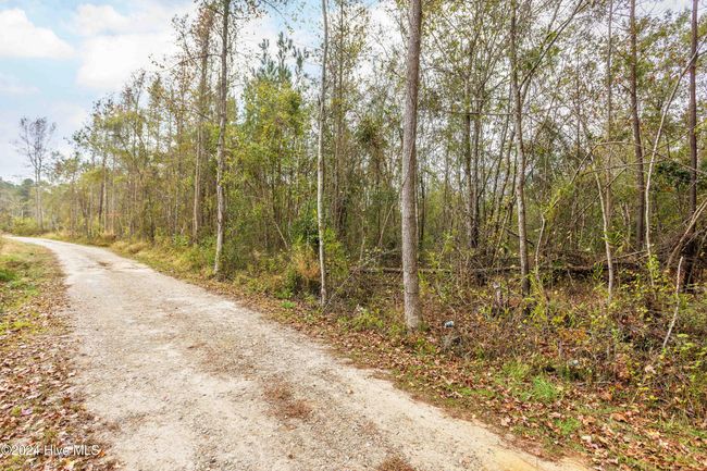 Near 169 Lizzies Drive, Home with 0 bedrooms, 0 bathrooms and null parking in Bolton NC | Image 9