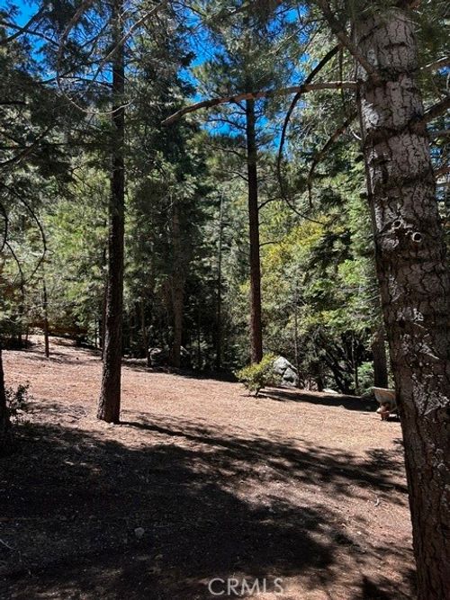 1221 Azalea Dr, Pine Mountain Club, CA, 93222 | Card Image