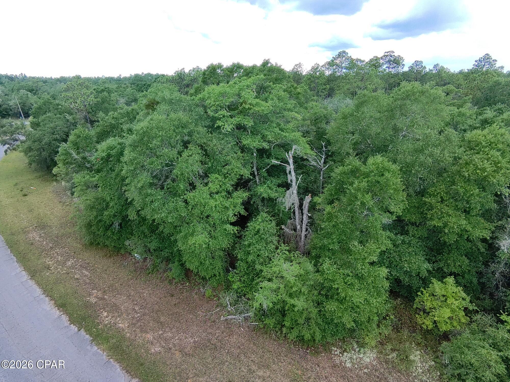 Land in Chipley 5