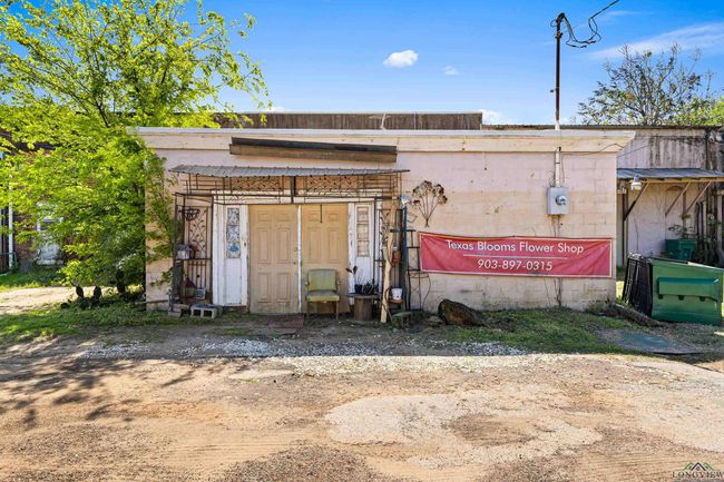 114 Main St, Home with 0 bedrooms, 0 bathrooms and null parking in Naples TX | Image 39