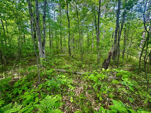 ON Hill N Dale Dr, Minocqua, WI, 54548 | Card Image
