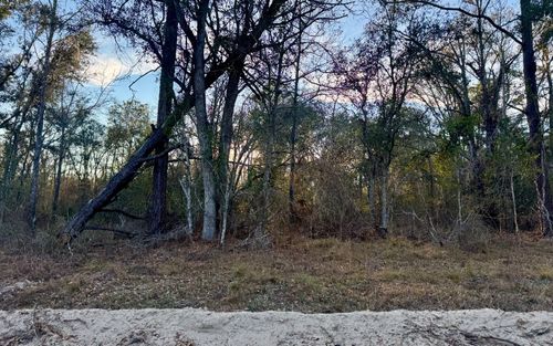 LT151 Nw 22nd Way, JASPER, FL, 32052 | Card Image