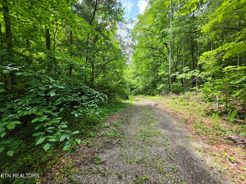 195 Sherwood Lane, Harriman, TN, 37748 | Card Image