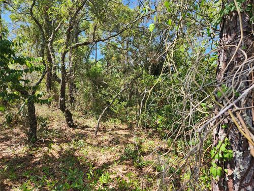lot-7-0 Day Owl Avenue, Weeki Wachee, FL, 34613 | Card Image