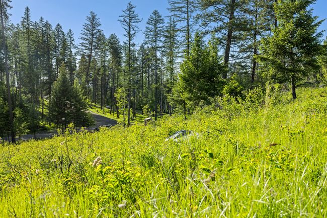 26 Trails End Ct, Home with 0 bedrooms, 0 bathrooms and null parking in Bigfork MT | Image 29
