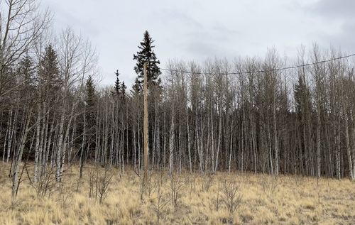 688 Ouray Trail, Como, CO, 80432 | Card Image