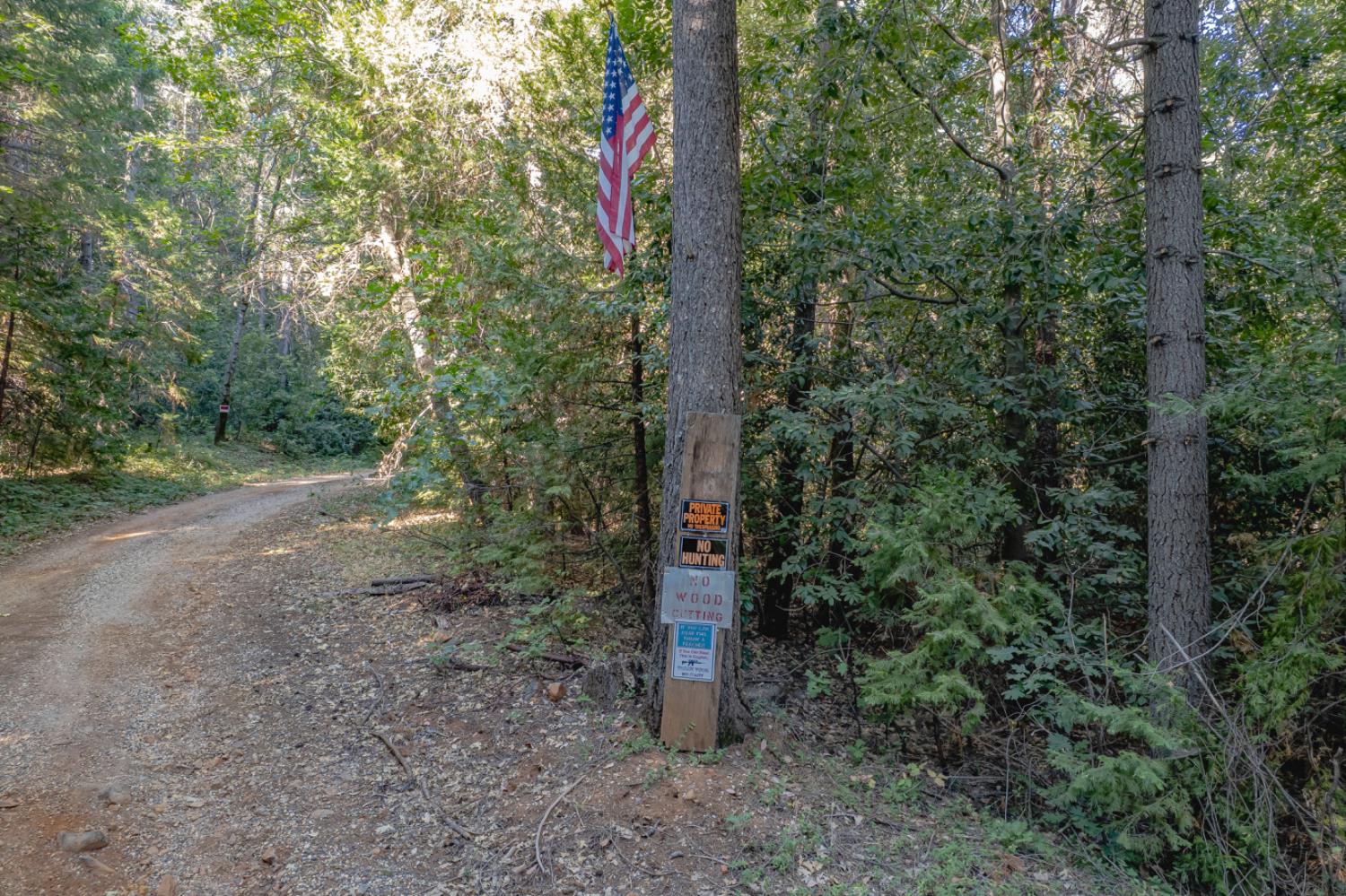 Land in Camptonville 2
