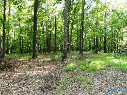Lot 50 Harbor Loop, Jasper, AL, 35504 | Card Image