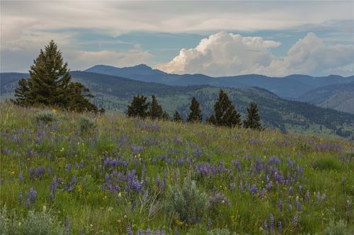 #3 Bull Elk Tract, Drummond, MT, 59832 | Card Image