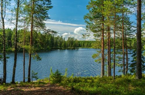 50 County Road 3227, Mt Pleasant, TX, 75455-8307 | Card Image