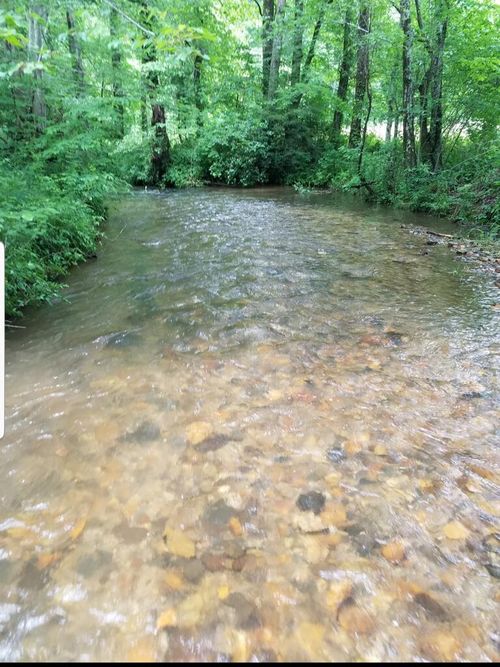 14551 E Highway 52, Ellijay, GA, 30536 | Card Image