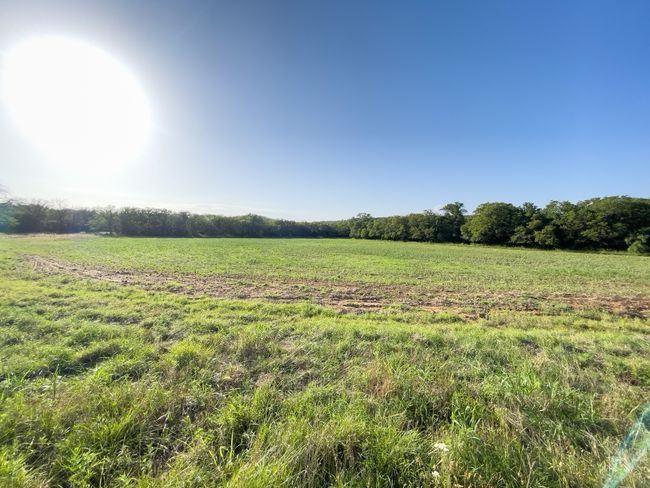 View of undeveloped land featuring rural landscape | Image 21