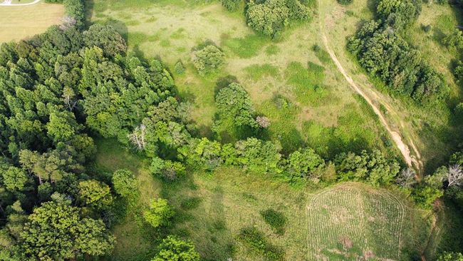33.64 ac Davis Rd, Home with 0 bedrooms, 0 bathrooms and null parking in Livingston TN | Image 22